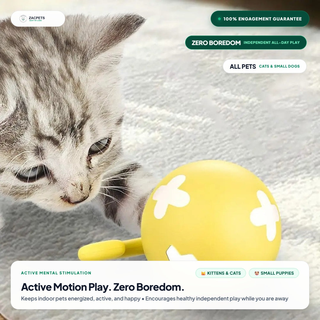 ZacPets™ Smart Motion Ball - Active Kitten and Puppy Play Zero Boredom